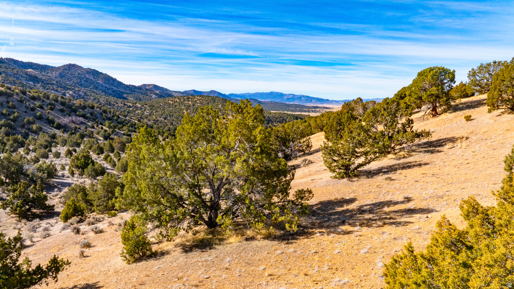 COUNTY ROAD 28 Levan, UT 84639