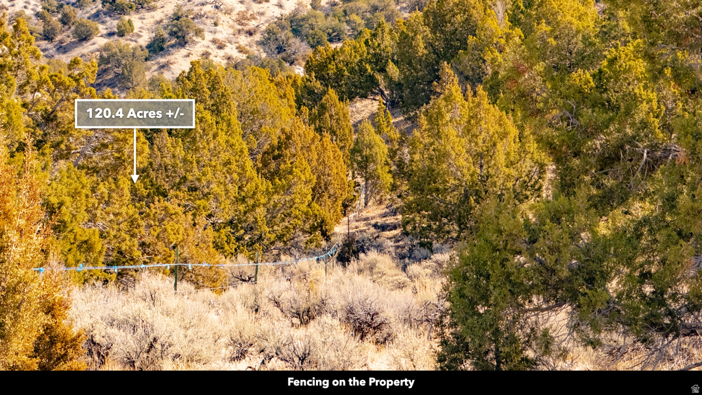 COUNTY ROAD 28 Levan, UT 84639