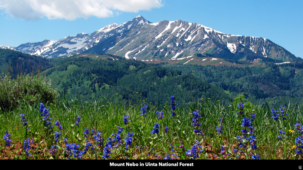 COUNTY ROAD 28 Levan, UT 84639