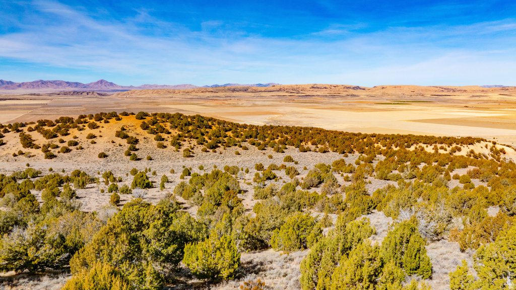 COUNTY ROAD 28 Levan, UT 84639