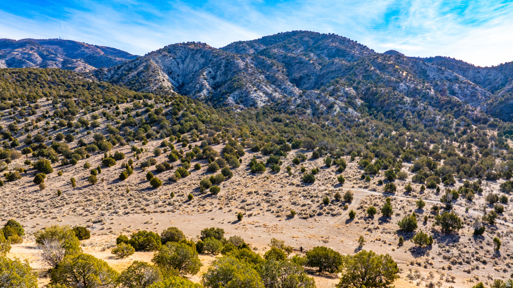 COUNTY ROAD 28 Levan, UT 84639