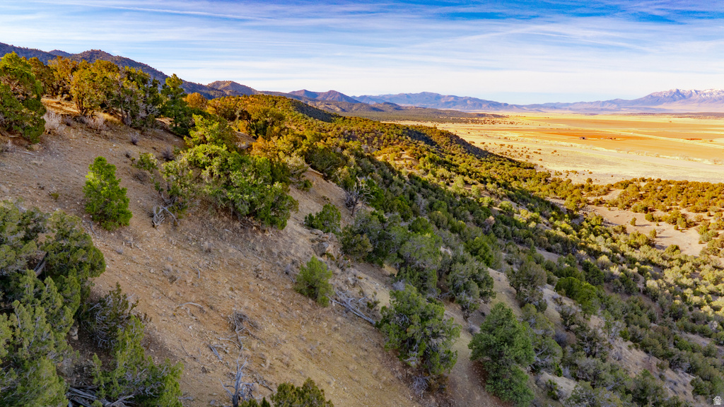 COUNTY ROAD 28 Levan, UT 84639