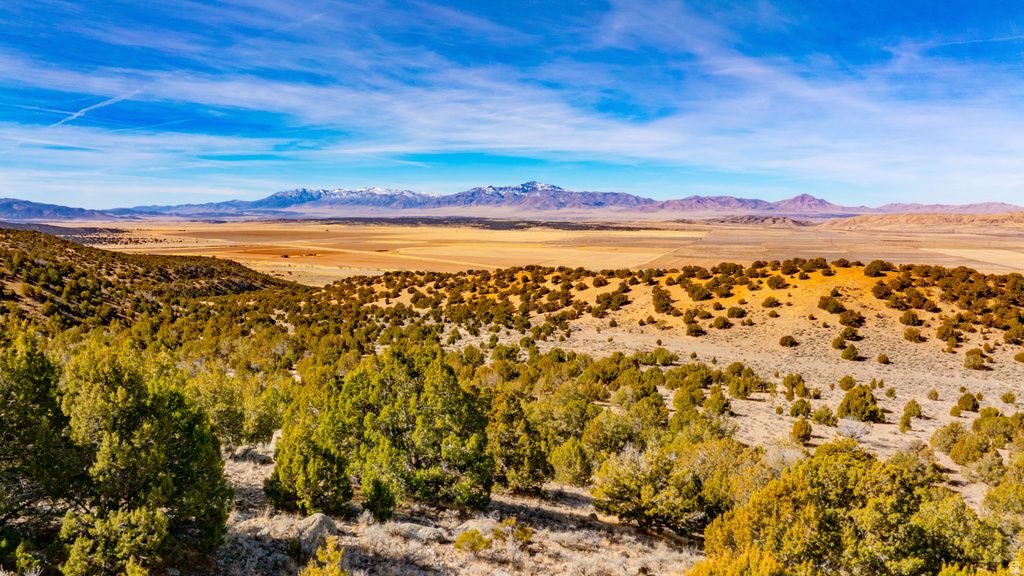 COUNTY ROAD 28 Levan, UT 84639