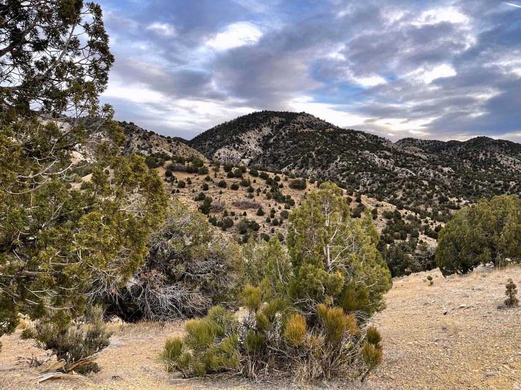 COUNTY ROAD 28 Levan, UT 84639