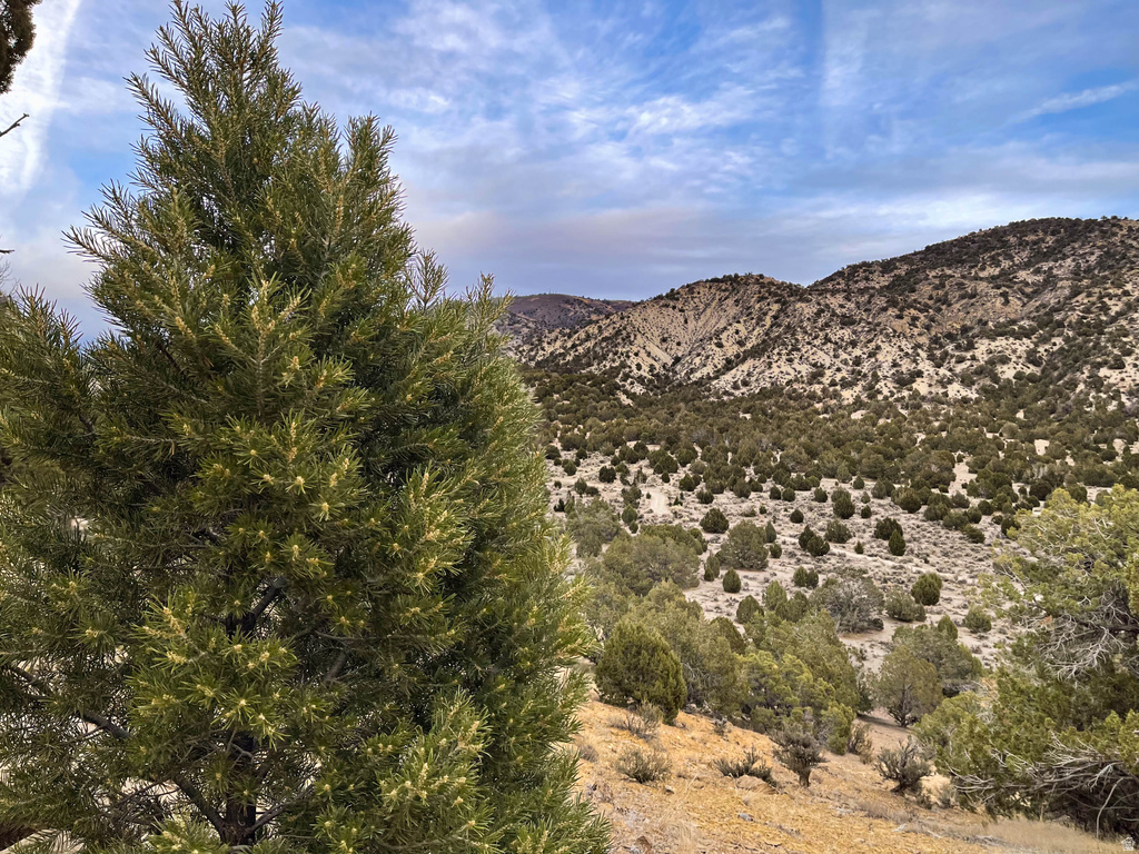 COUNTY ROAD 28 Levan, UT 84639