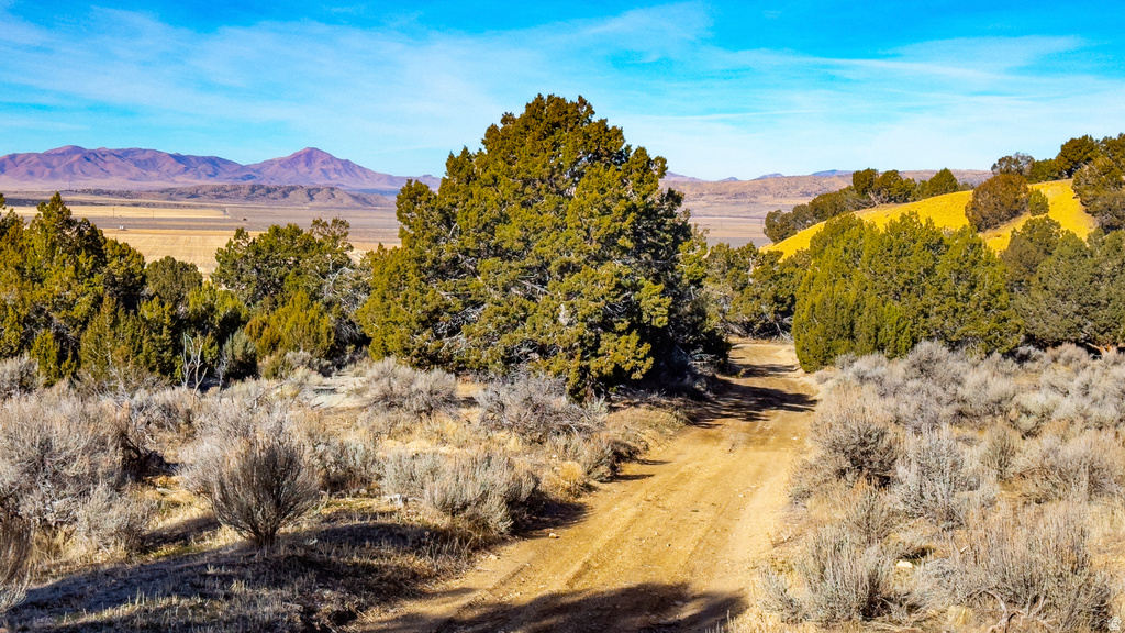COUNTY ROAD 28 Levan, UT 84639