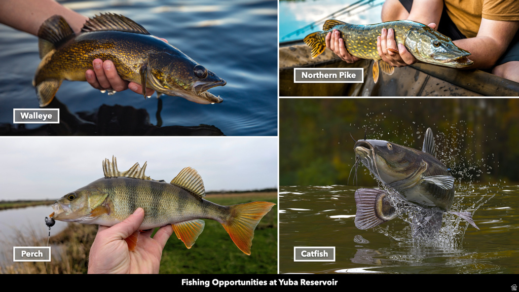 COUNTY ROAD 28 Levan, UT 84639