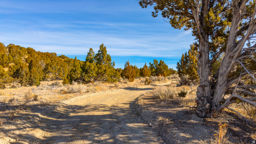 COUNTY ROAD 28 Levan, UT 84639