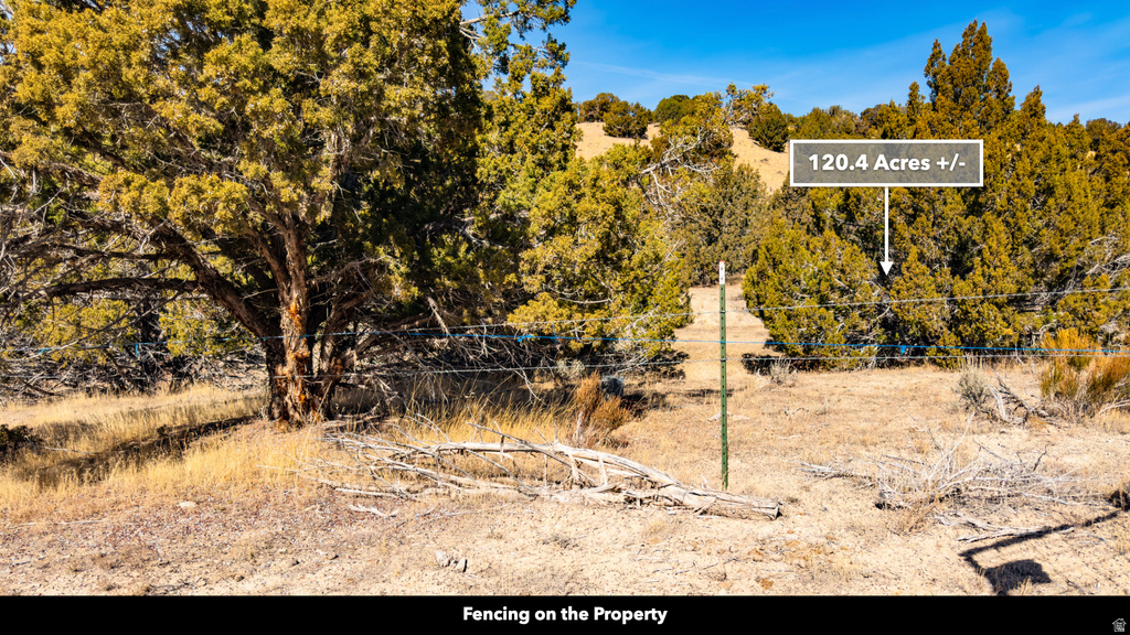 COUNTY ROAD 28 Levan, UT 84639