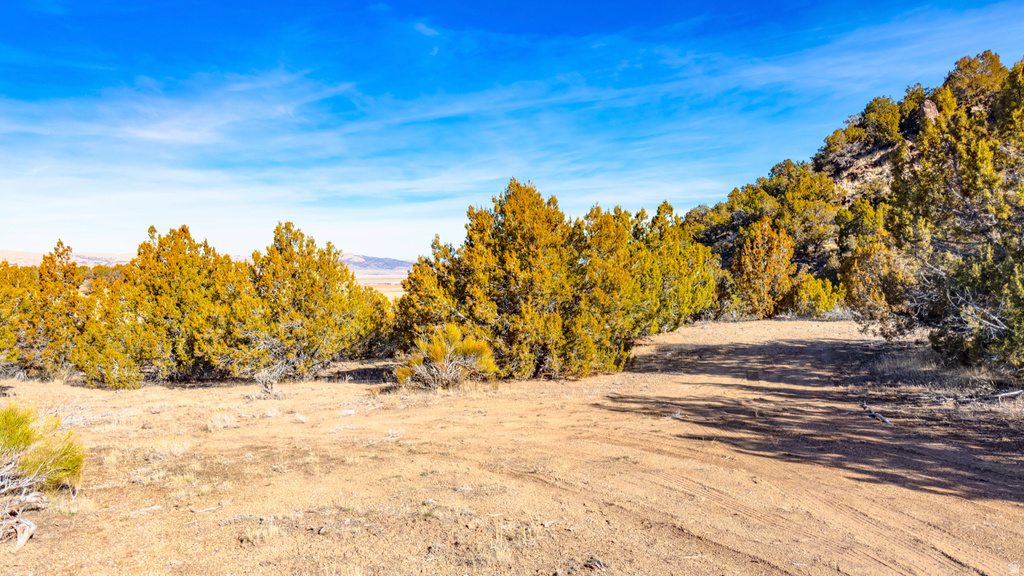 COUNTY ROAD 28 Levan, UT 84639