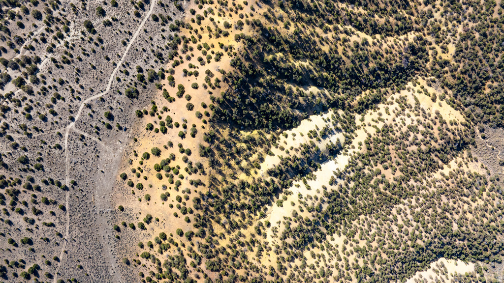 COUNTY ROAD 28 Levan, UT 84639