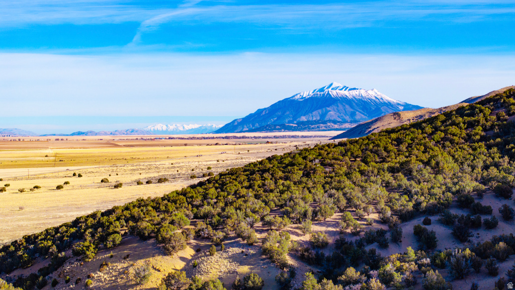 COUNTY ROAD 28 Levan, UT 84639