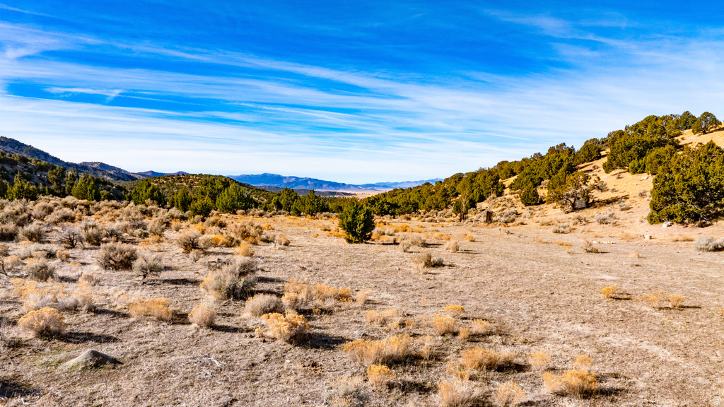 COUNTY ROAD 28 Levan, UT 84639