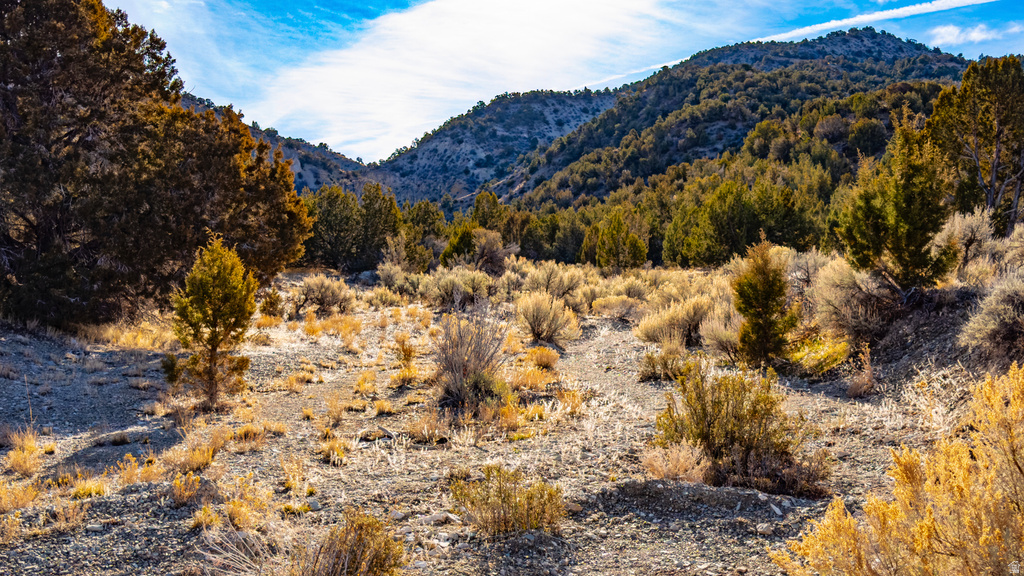 COUNTY ROAD 28 Levan, UT 84639