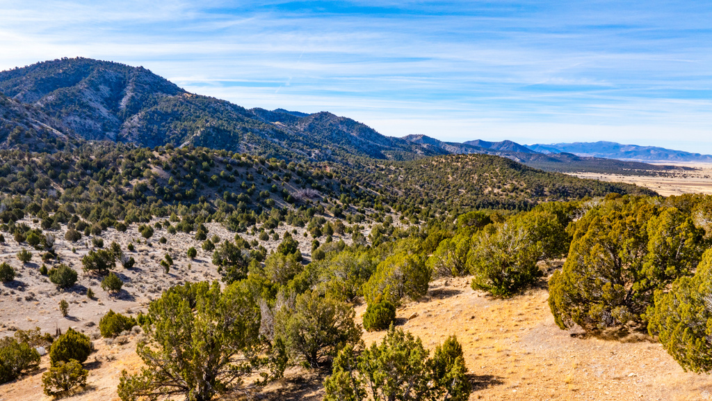 COUNTY ROAD 28 Levan, UT 84639