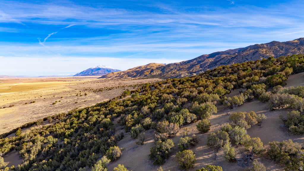 COUNTY ROAD 28 Levan, UT 84639