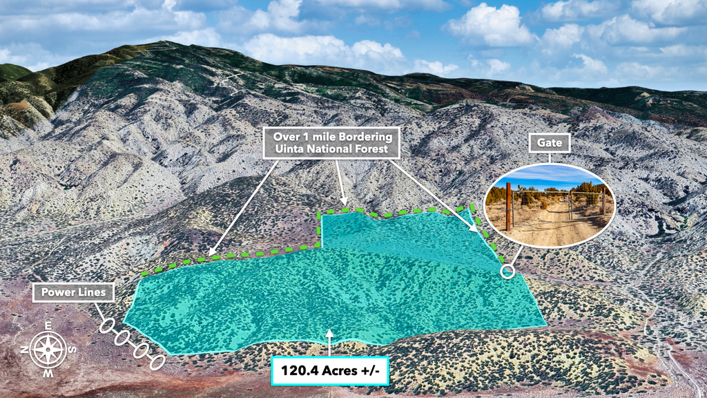 COUNTY ROAD 28 Levan, UT 84639