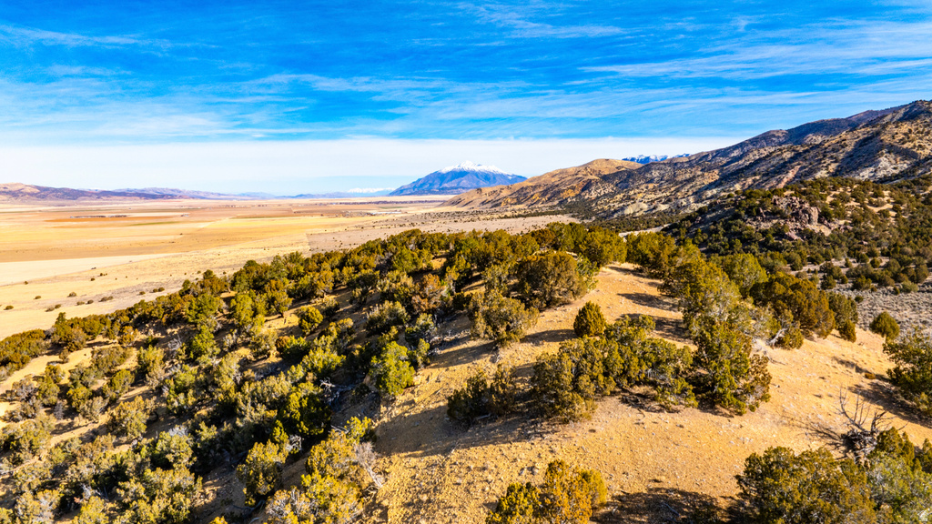 COUNTY ROAD 28 Levan, UT 84639