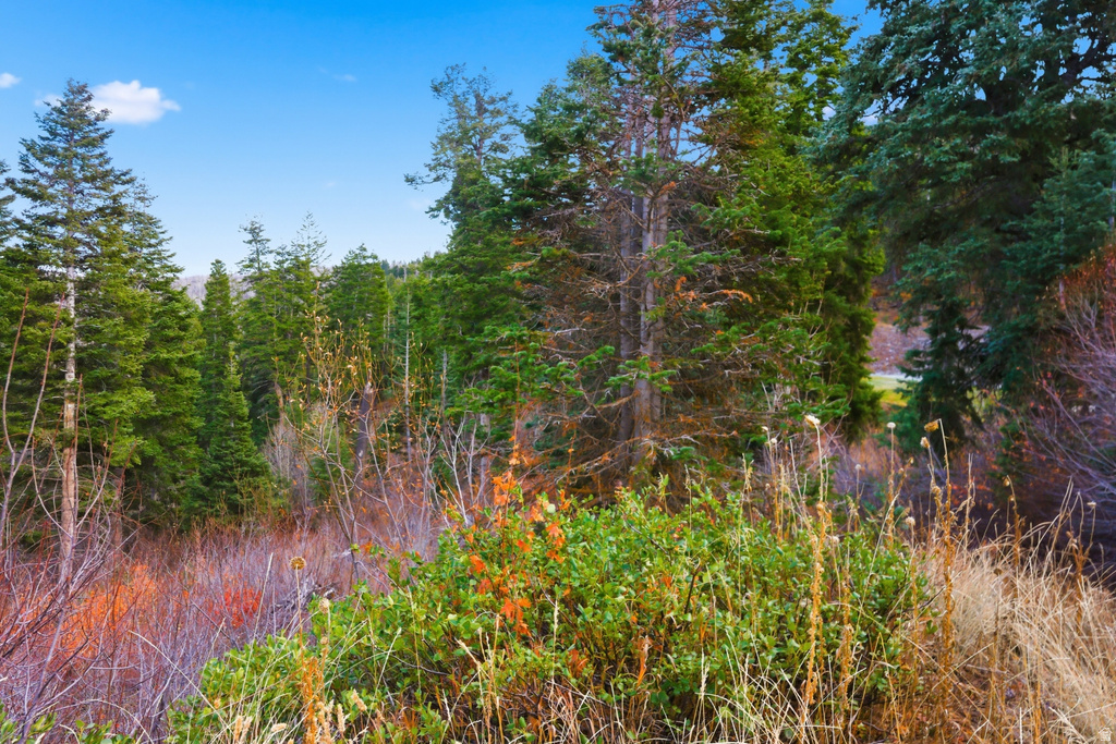 7092  CANYON DR Park City, UT 84098