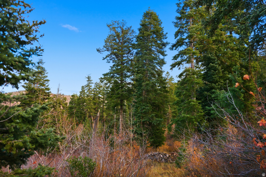 7092  CANYON DR Park City, UT 84098