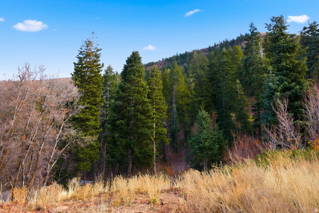 7092  CANYON DR Park City, UT 84098