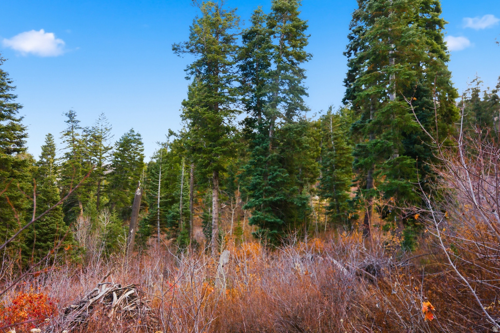 7092  CANYON DR Park City, UT 84098