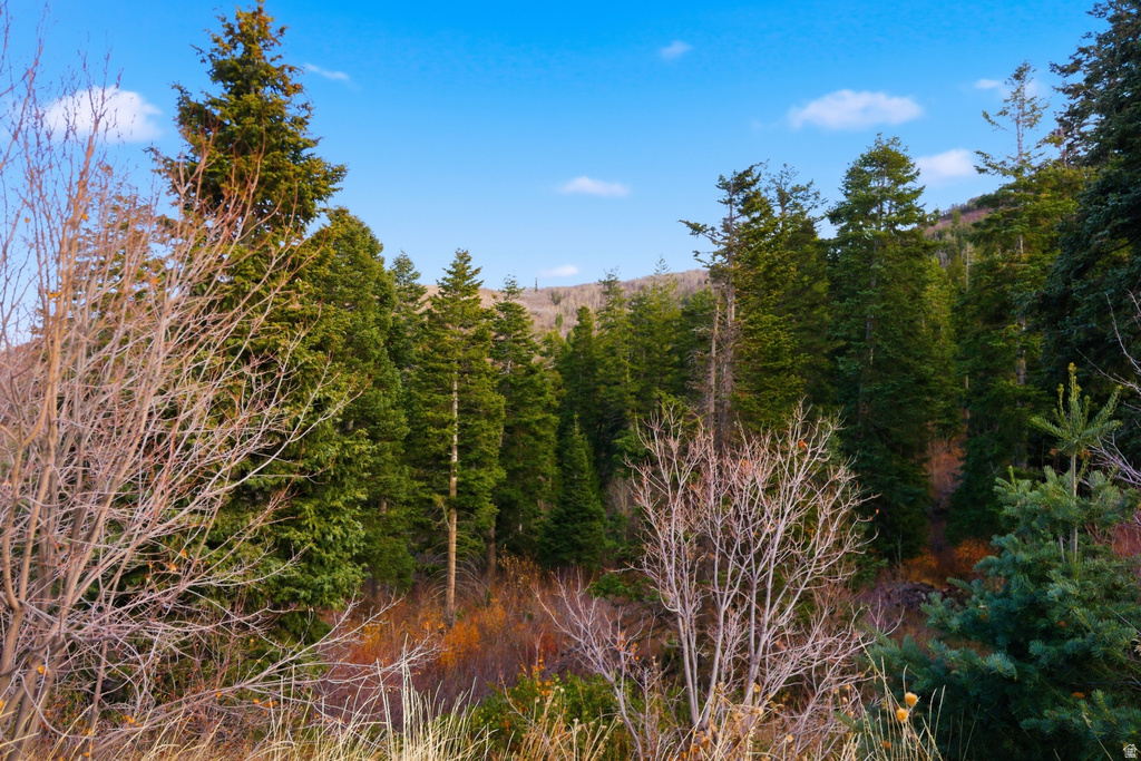 7092  CANYON DR Park City, UT 84098