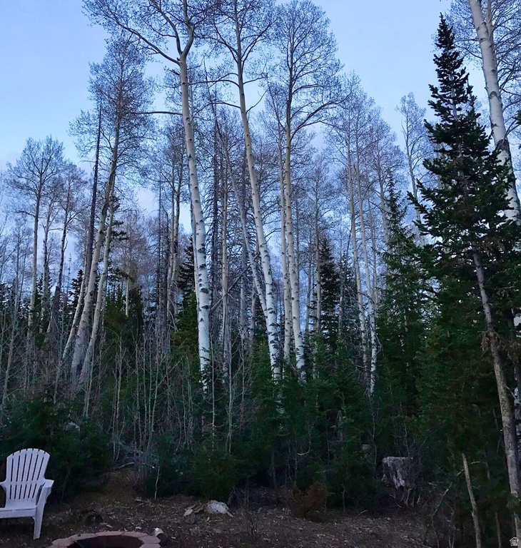 3111 S 2675 E Brian Head, UT 84719