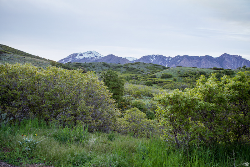 15 E THREE FALLS RDG Alpine, UT 84004