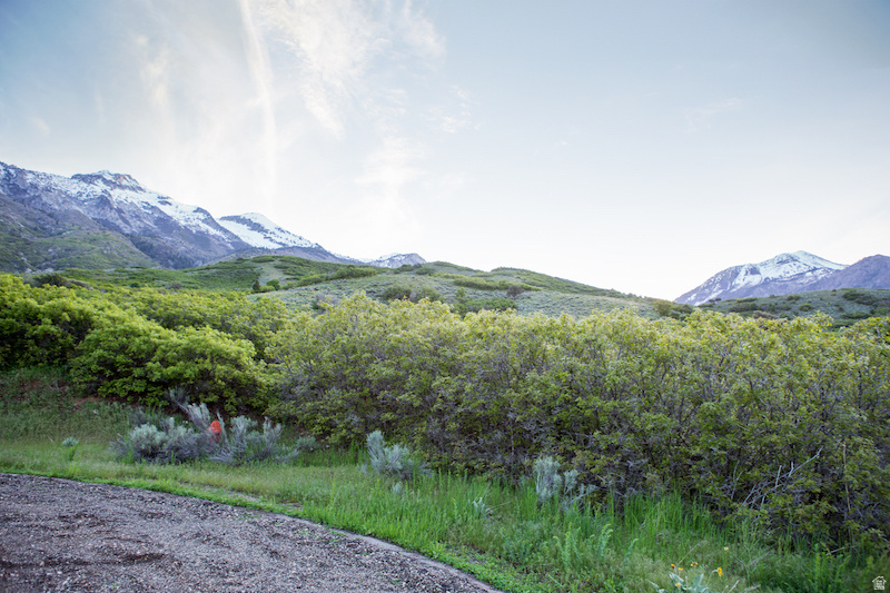 15 E THREE FALLS RDG Alpine, UT 84004