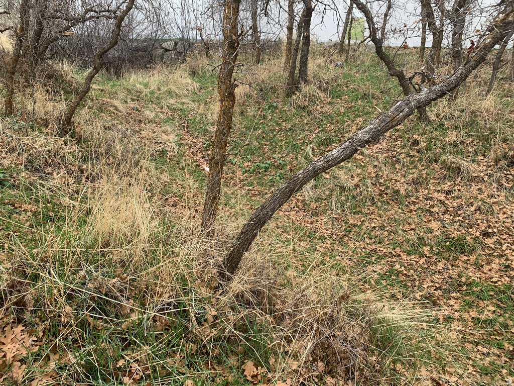 424 E CANYON ESTATES DR Bountiful, UT 84010