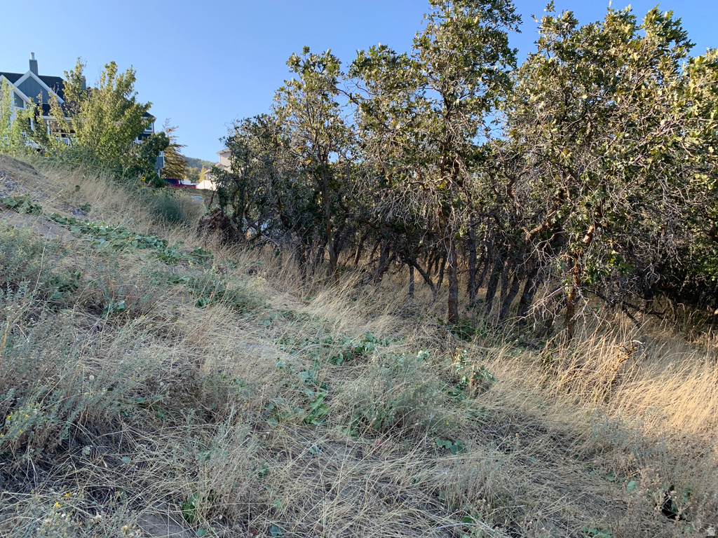 424 E CANYON ESTATES DR Bountiful, UT 84010