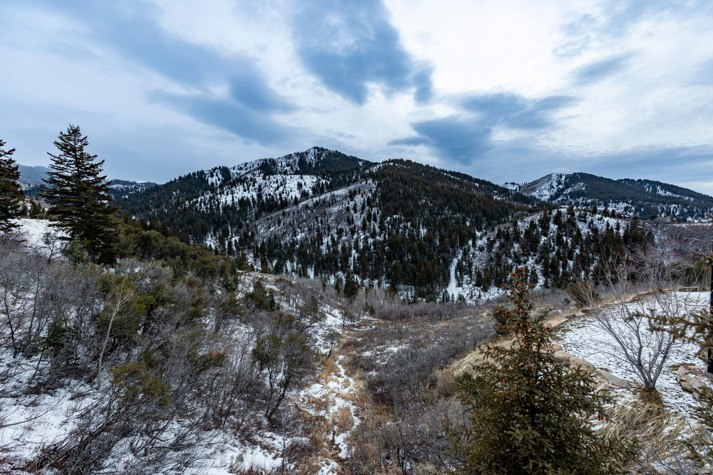 7331 PINE RIDGE DR Park City, UT 84098