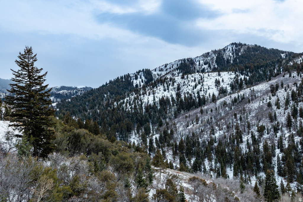 7331 PINE RIDGE DR Park City, UT 84098