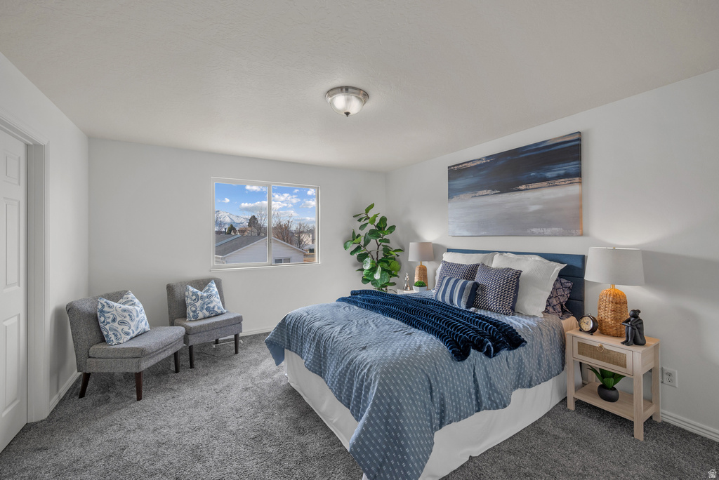 667 W 170 N Spanish Fork, UT 84660