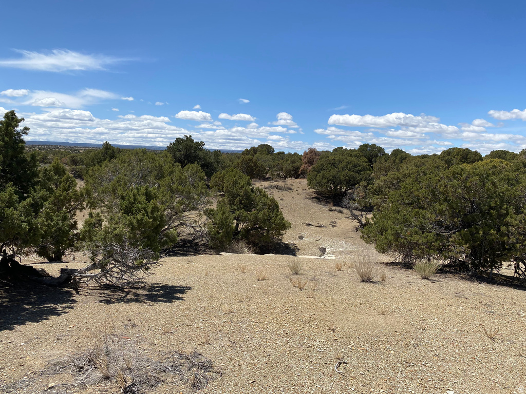  Bridgeland, UT 84021