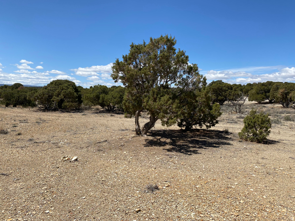  Bridgeland, UT 84021