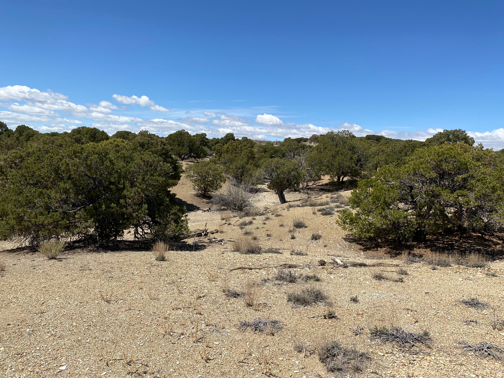  Bridgeland, UT 84021