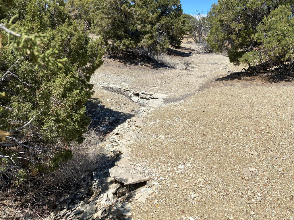  Bridgeland, UT 84021