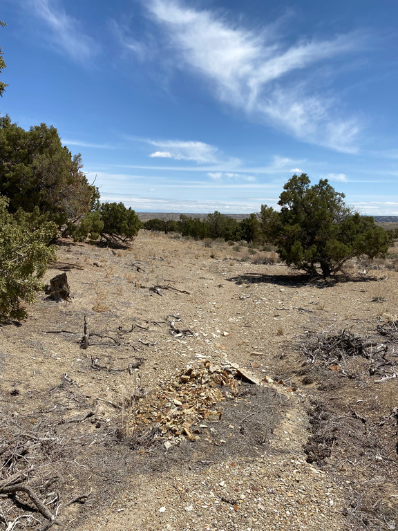  Bridgeland, UT 84021