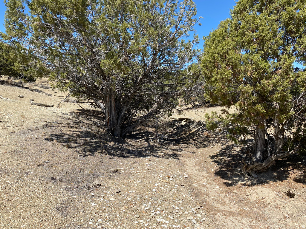  Bridgeland, UT 84021