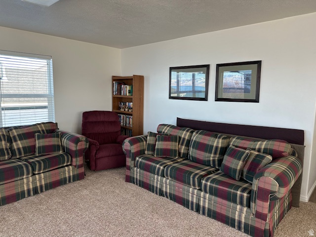 28 CHOKECHERRY RD Saint Charles, ID 83272