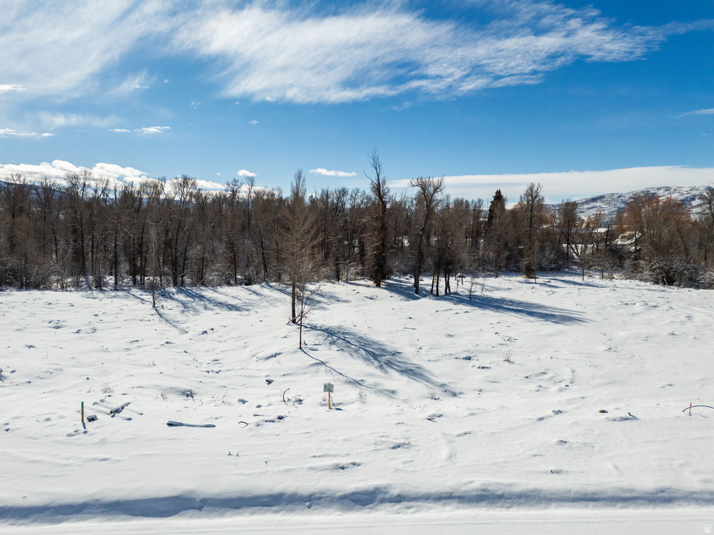 829  RIVER HAVEN LN Oakley, UT 84055