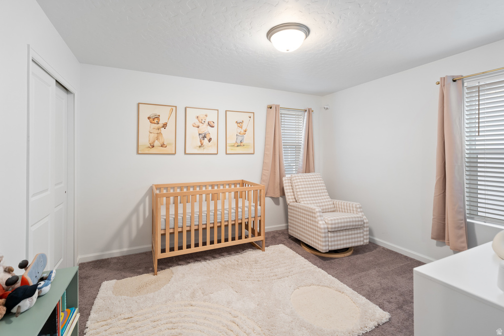 1593 W 220 N Pleasant Grove, UT 84062