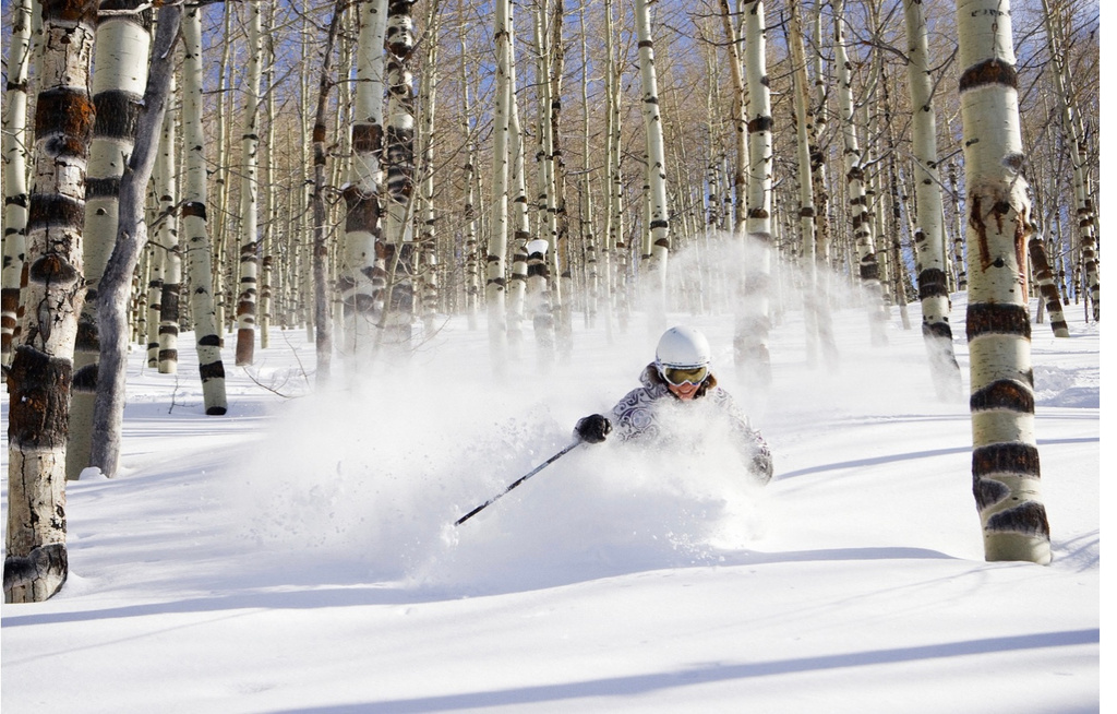 6746 E ASPEN DR Eden, UT 84310