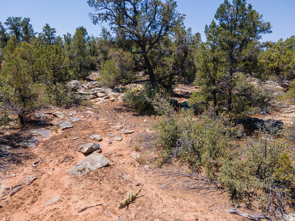 1245 W CLOVIS CIR Dammeron Valley, UT 84783