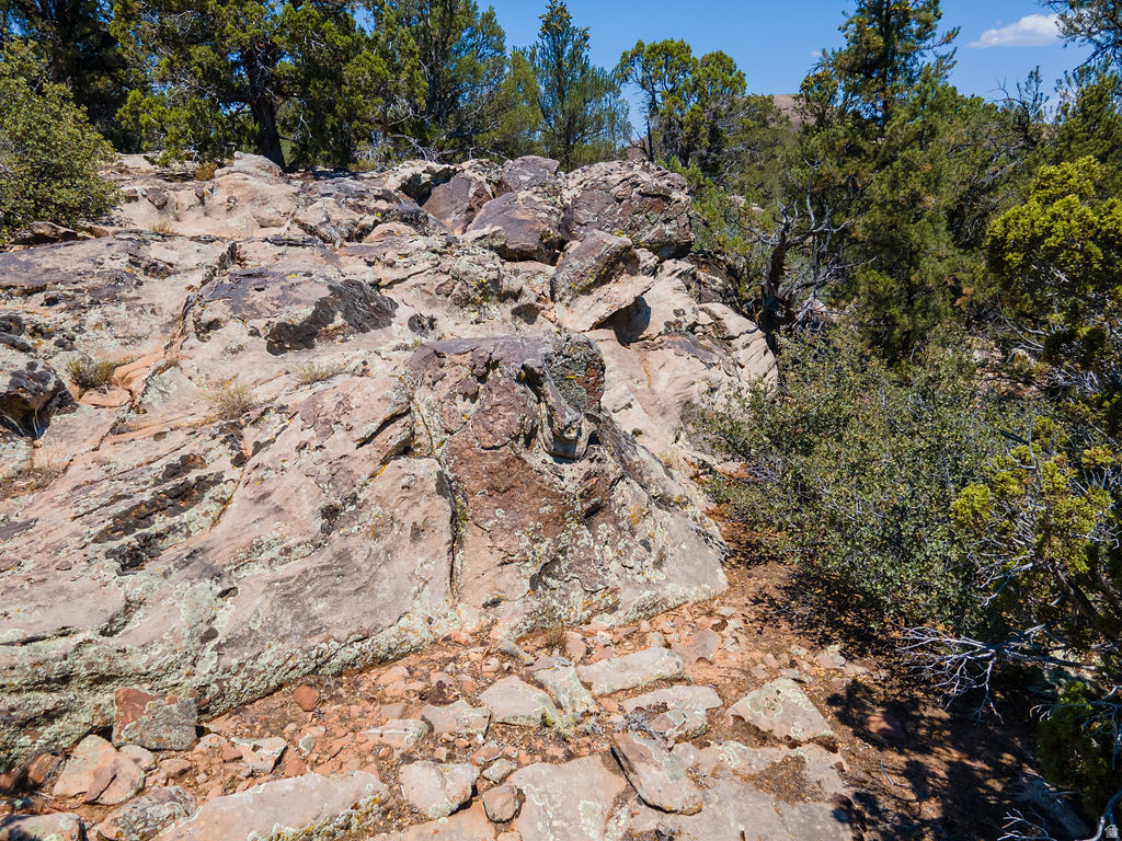 1245 W CLOVIS CIR Dammeron Valley, UT 84783