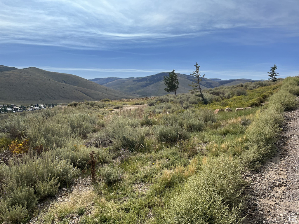 49  ASPEN CV Scofield, UT 84526