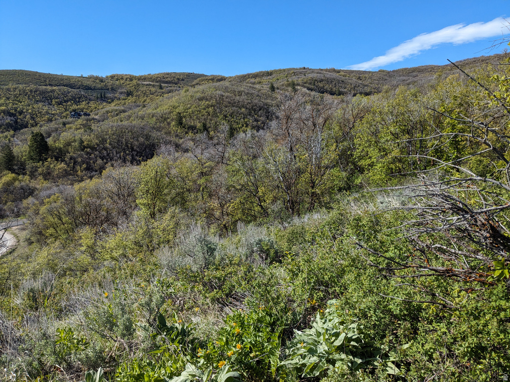 6000 E OLD SNOWBASIN RD Huntsville, UT 84317