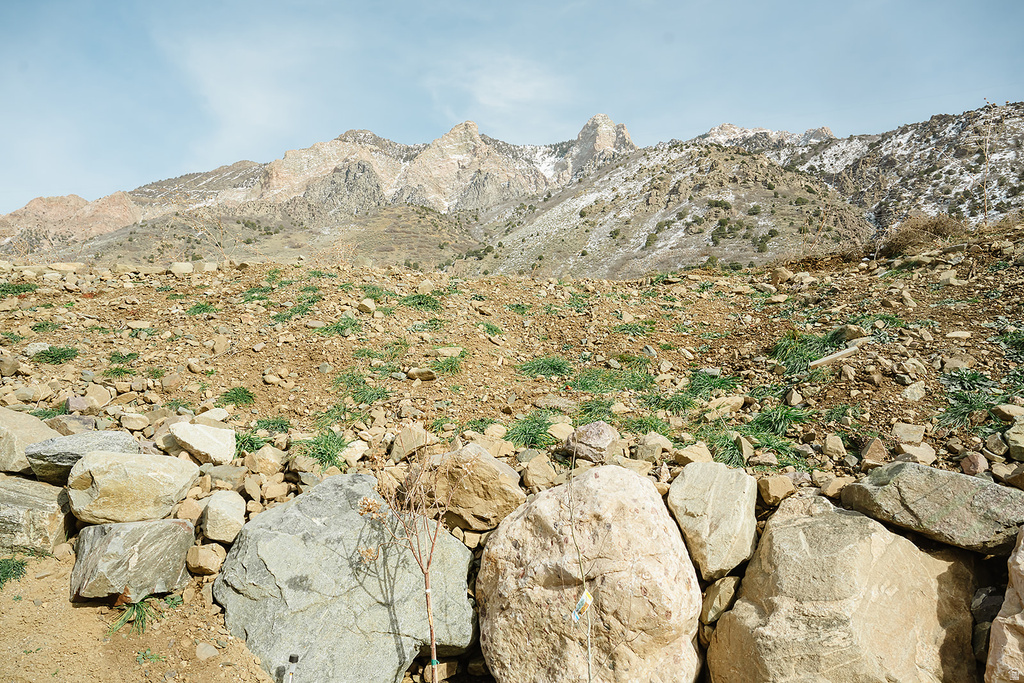 337 E SADDLEBACK RD Willard, UT 84340